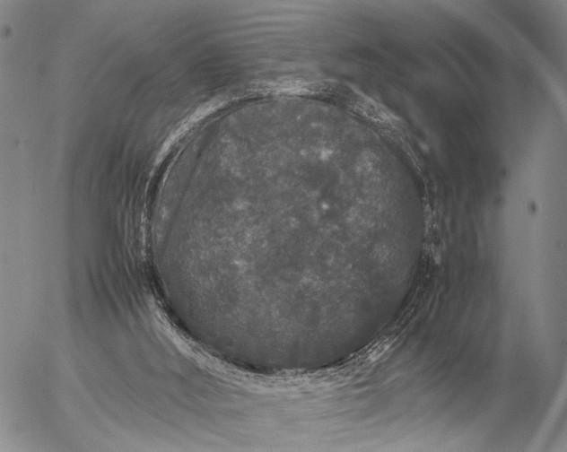 X0000057100012200509231728