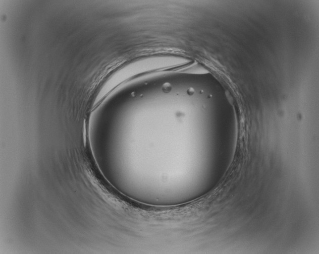 X0000057100013200509231728