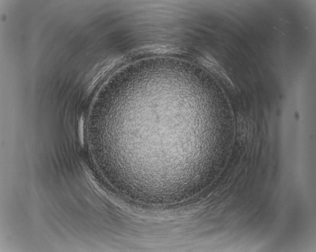 X0000057100014200509231728