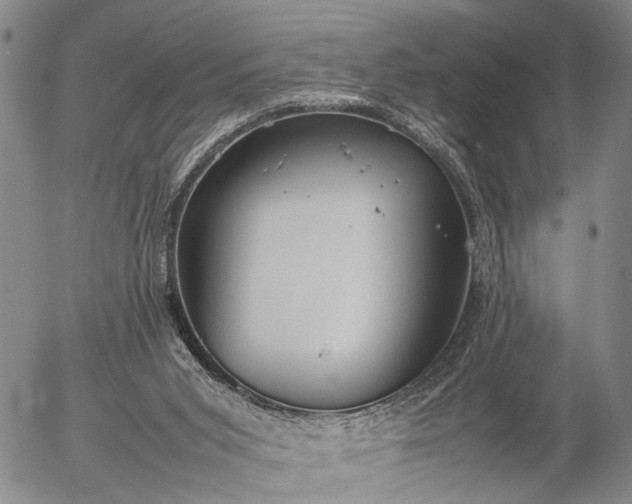 X0000057100015200509231728