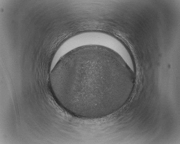 X0000057100017200509231728