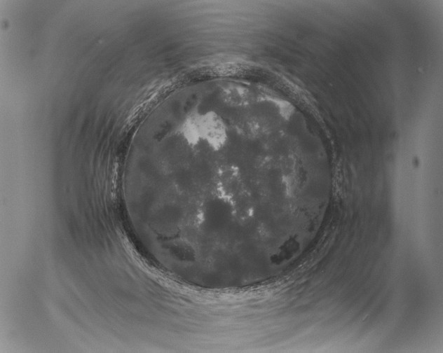 X0000057100018200509231728