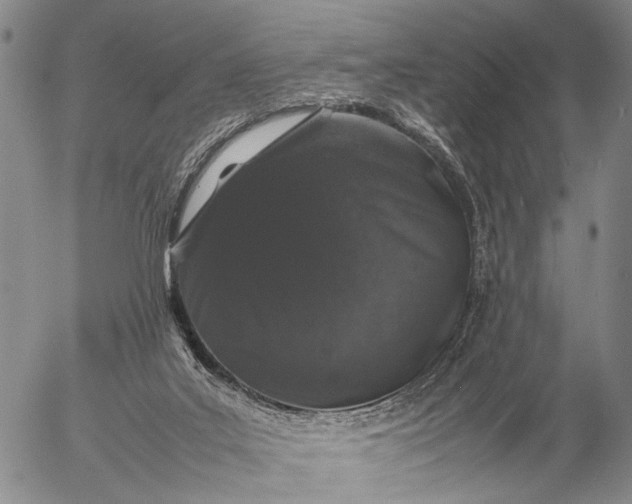 X0000057100019200509231728