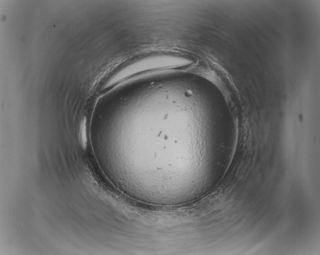 X0000057100020200509231728