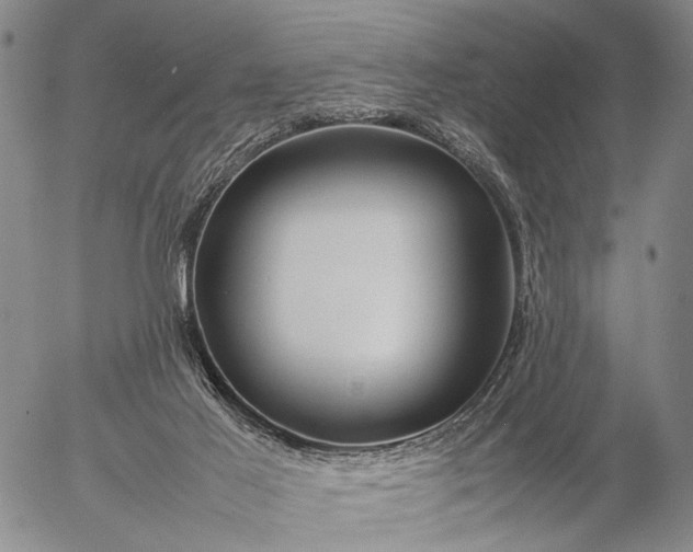 X0000057100021200509231728