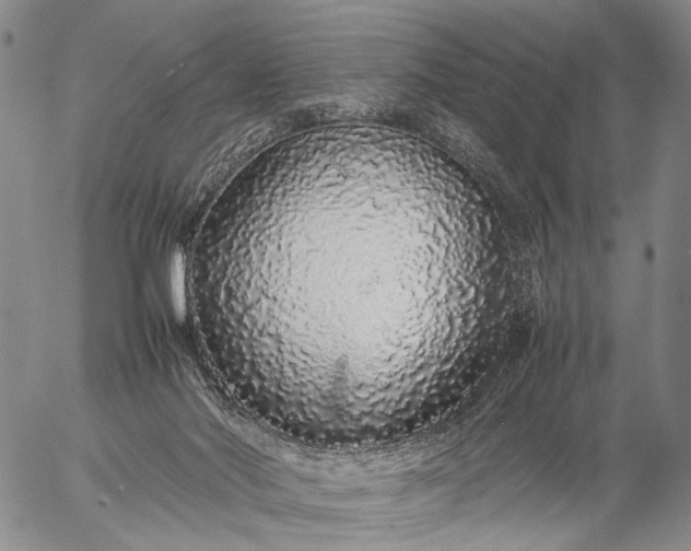 X0000057100022200509231728