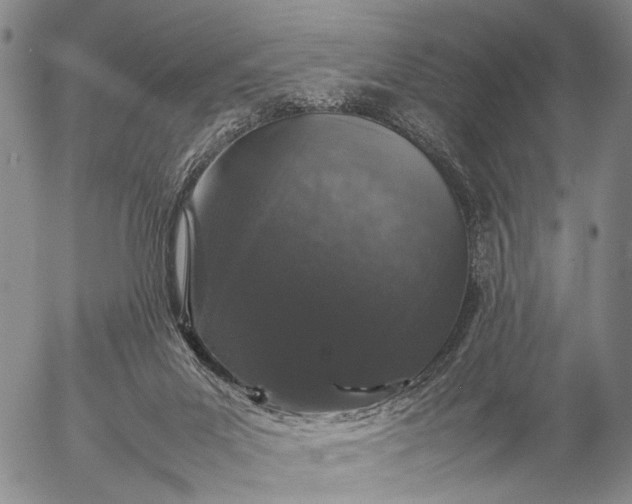 X0000057100023200509231727