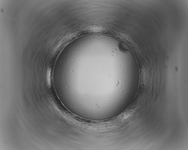 X0000057100024200509231727