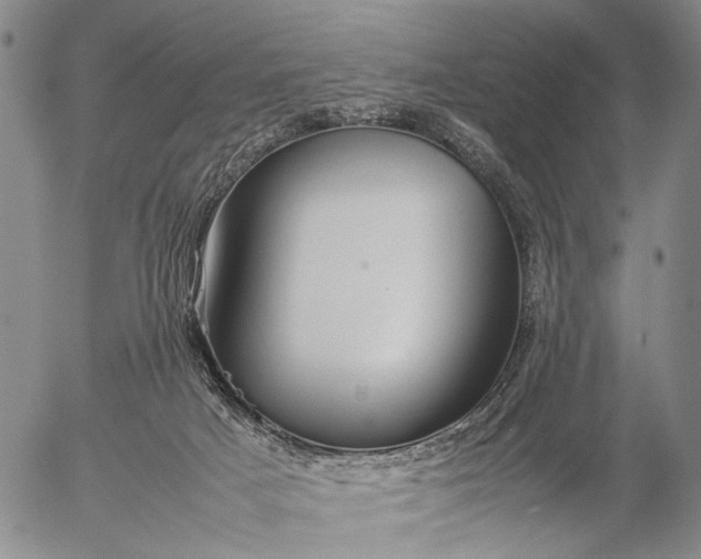 X0000057100025200509231727