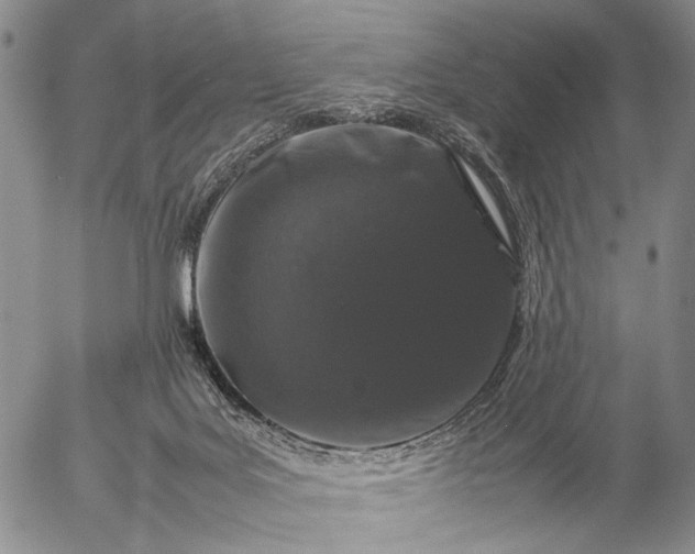 X0000057100027200509231727