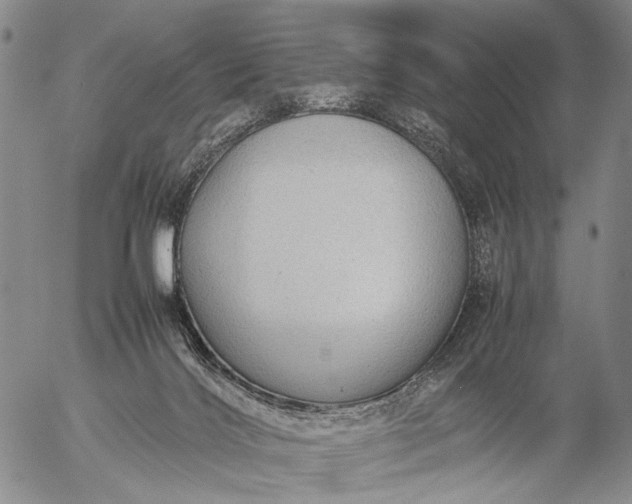 X0000057100028200509231727