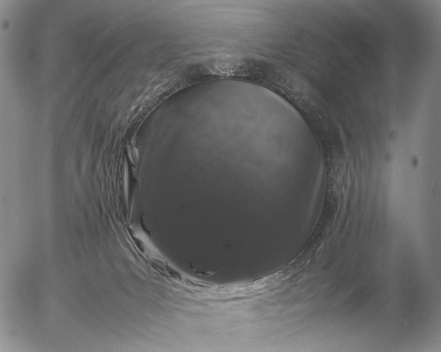 X0000057100031200509231727