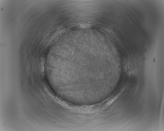 X0000057100032200509231727