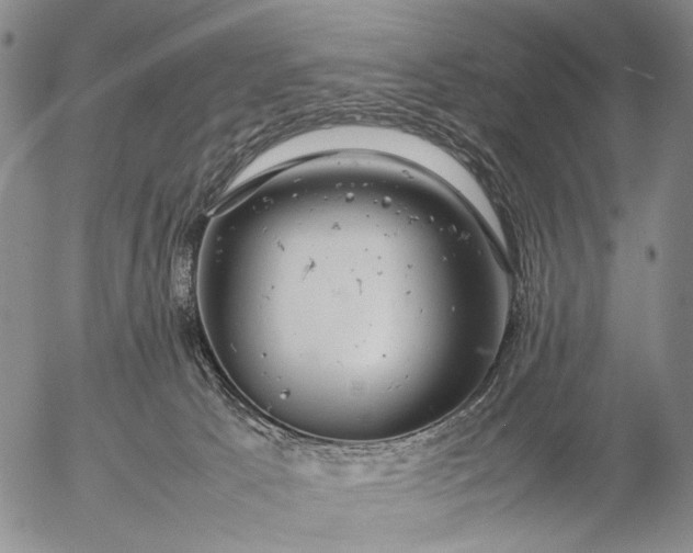 X0000057100033200509231727