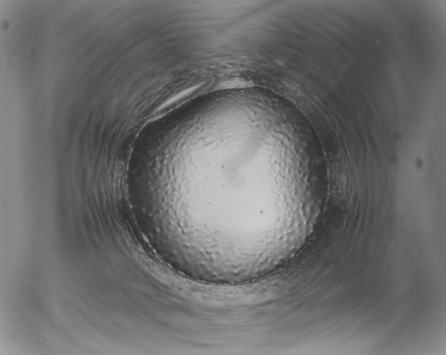 X0000057100034200509231727