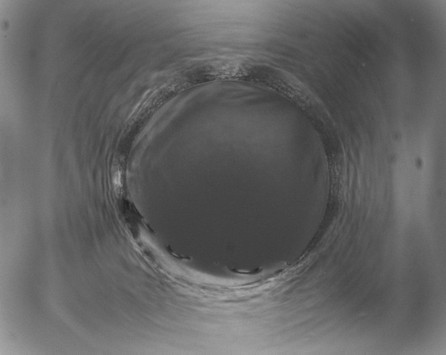 X0000057100035200509231727