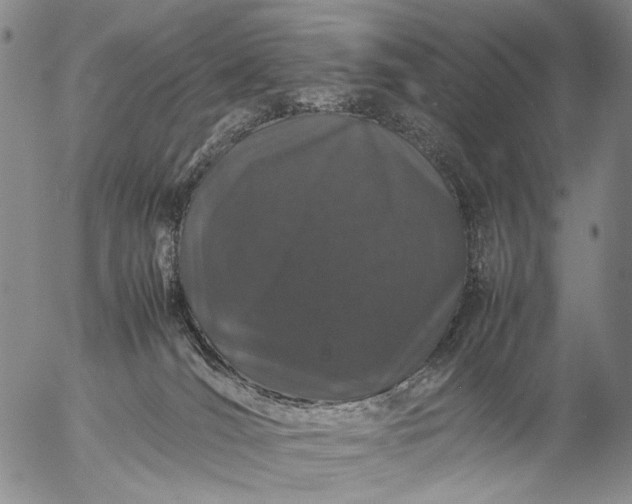 X0000057100036200509231727