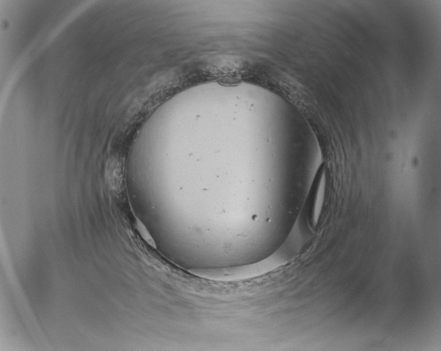 X0000057100037200509231727