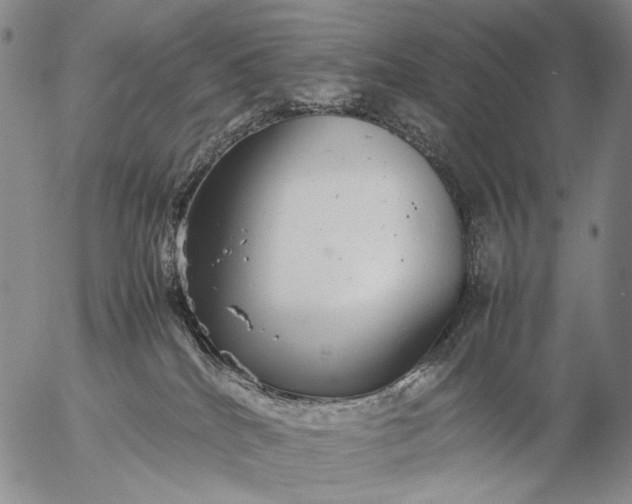 X0000057100040200509231727