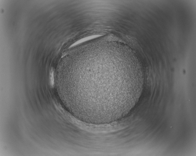 X0000057100042200509231727