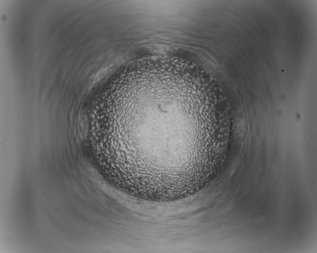 X0000057100043200509231727