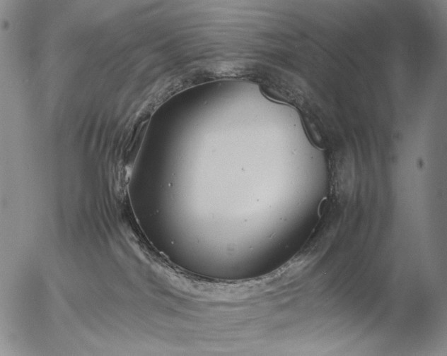 X0000057100044200509231727