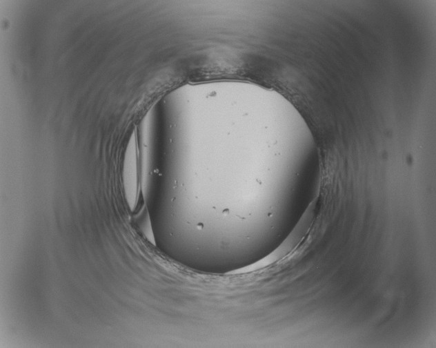 X0000057100045200509231727