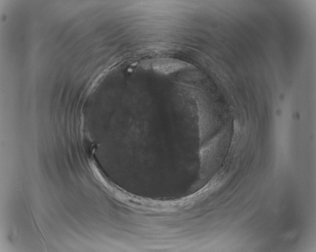 X0000057100048200509231727