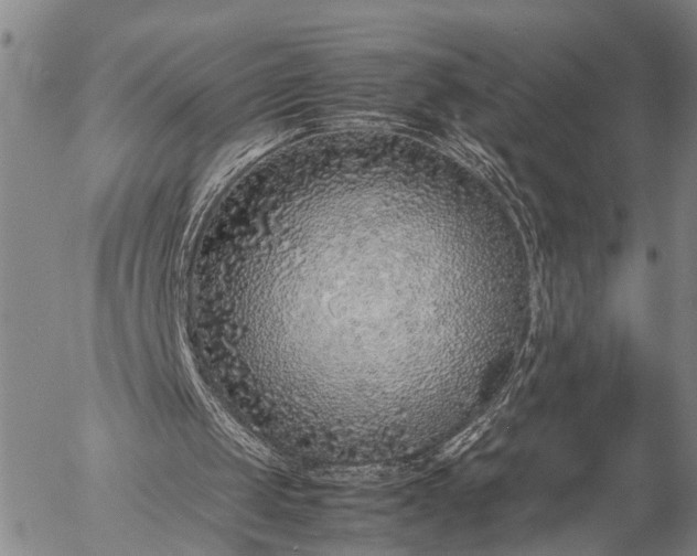 X0000057100049200509231726