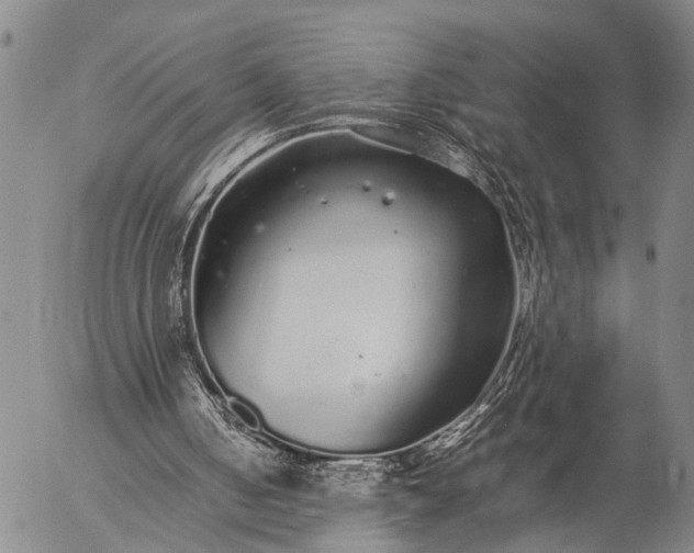 X0000057100050200509231726