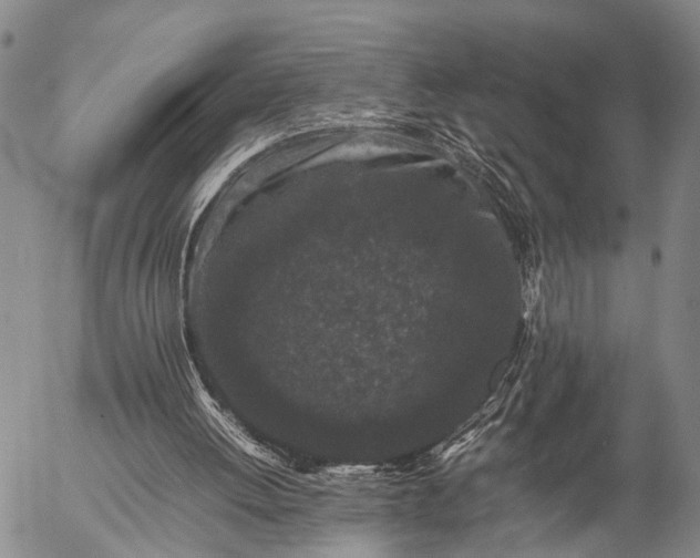 X0000057100052200509231726