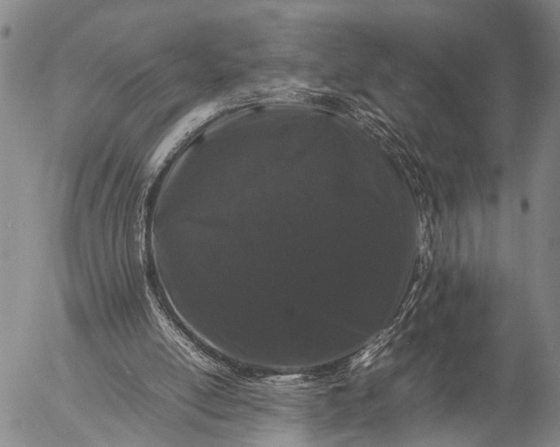 X0000057100054200509231726