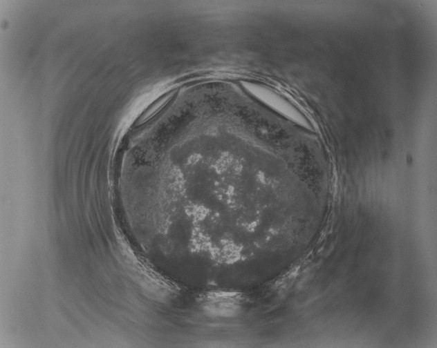 X0000057100055200509231726