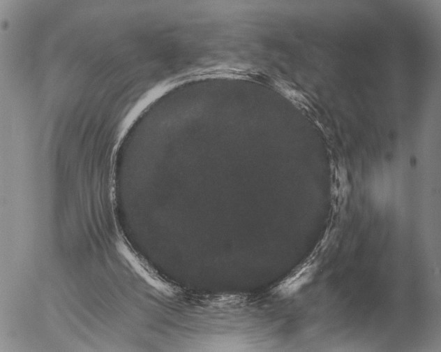 X0000057100056200509231726