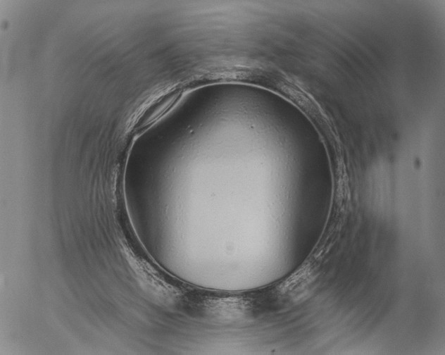 X0000057100058200509231726