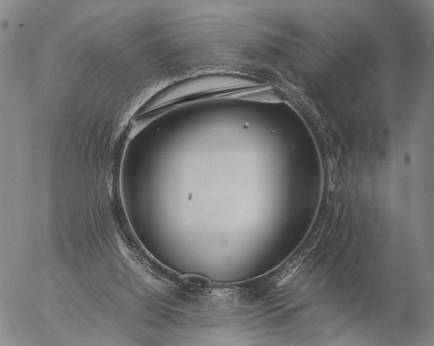 X0000057100060200509231726