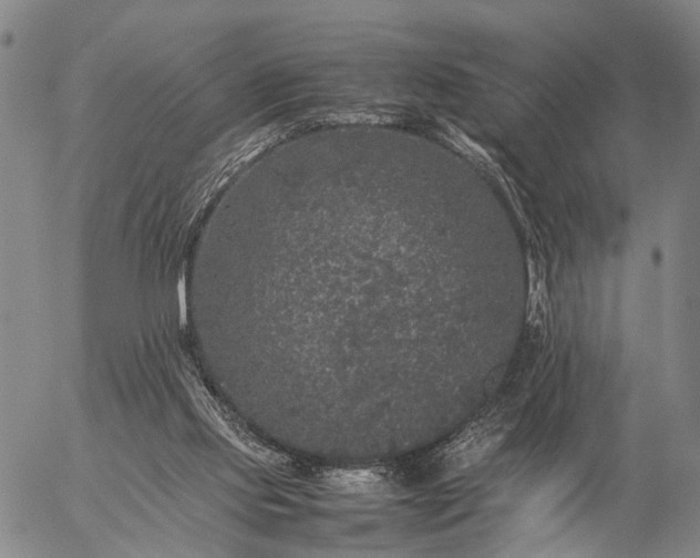 X0000057100061200509231726