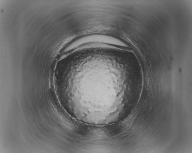 X0000057100062200509231726