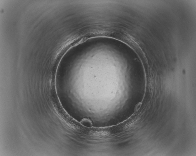 X0000057100063200509231726