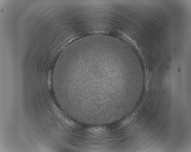 X0000057100065200509231727