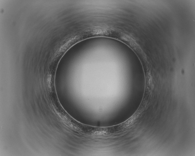 X0000057100066200509231727