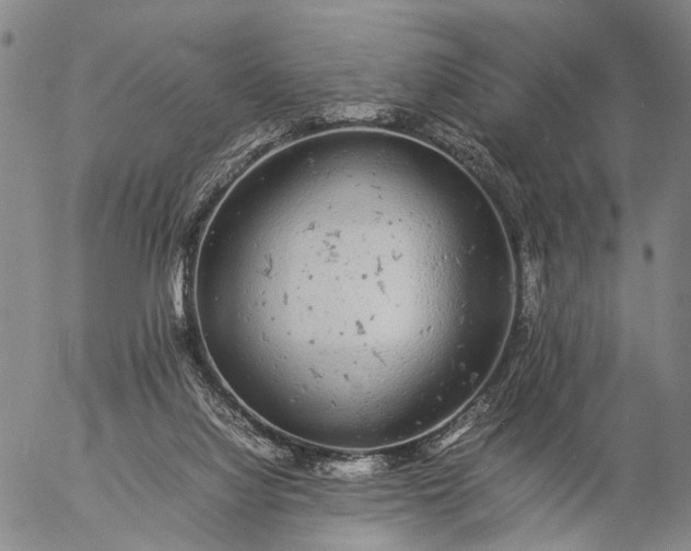 X0000057100068200509231727