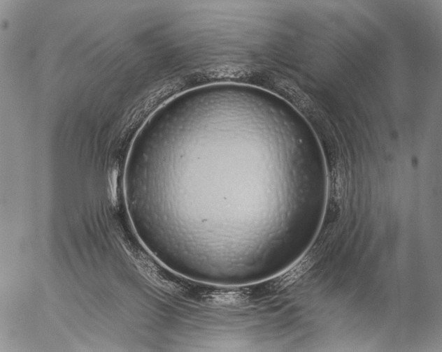 X0000057100070200509231727