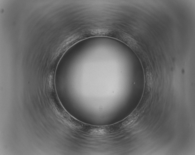 X0000057100071200509231727