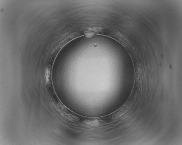 X0000057100075200509231727