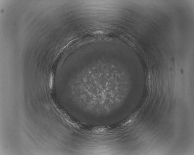 X0000057100076200509231727