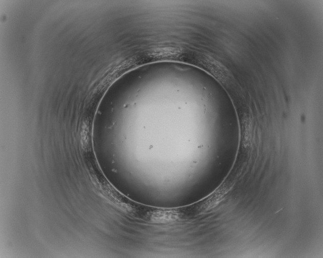 X0000057100077200509231727