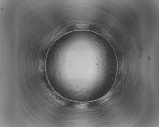 X0000057100078200509231727