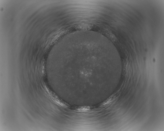 X0000057100080200509231727