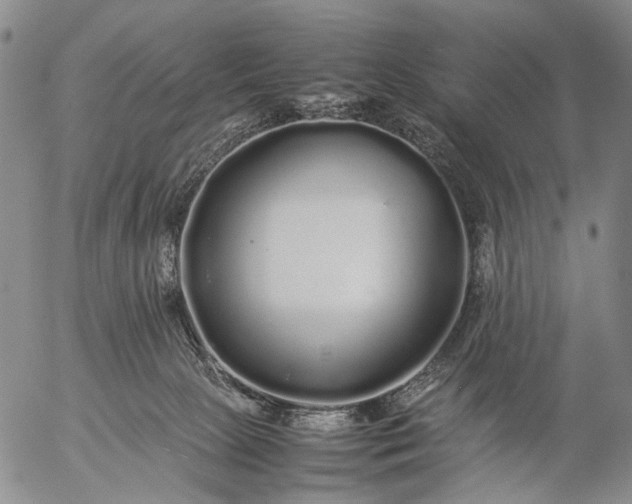 X0000057100081200509231727